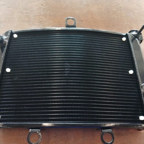 Kawasaki Ninja 150RR