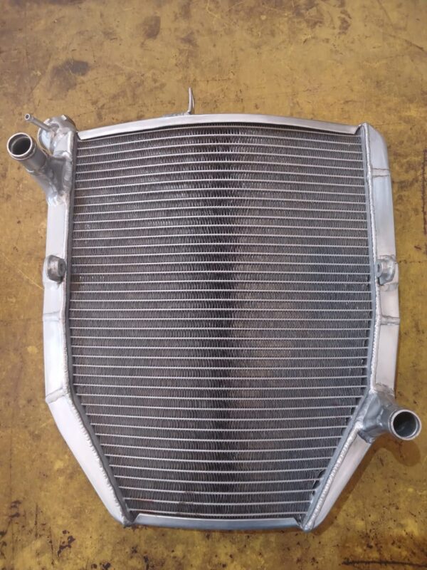 Kawasaki Ninja 250 FI