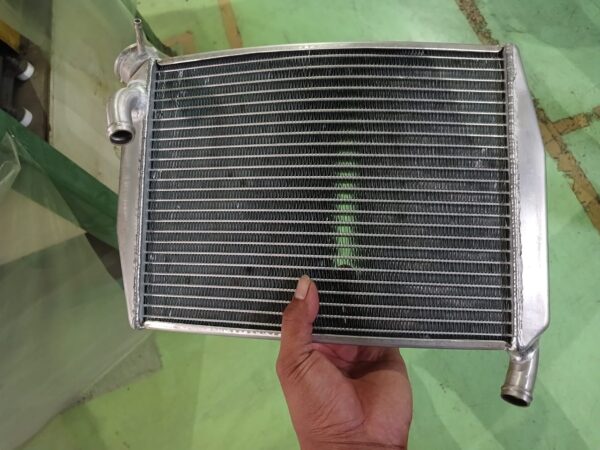 Kawasaki Ninja 150RR